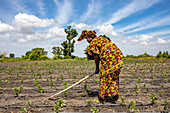 Woman digging her vegetable field in Pout,Senegal,West Africa,Africa