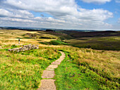 Path across Haworth Moor,Yorkshire,England,United Kingdom,Europe