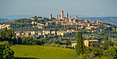 Blick auf Weinberge und die Skyline von San Gimignano, San Gimignano, Provinz Siena, Toskana, Italien, Europa