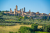 Blick auf Olivenbäume und Landschaft um San Gimignano,San Gimignano,Provinz Siena,Toskana,Italien,Europa