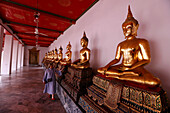 Reihe goldener Buddha-Statuen, Geste des Erdzeugen, Wat Pho (Tempel des liegenden Buddhas), Bangkok, Thailand, Südostasien, Asien