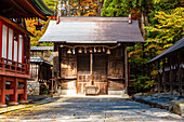 Shinto shrine in Japan,Asia