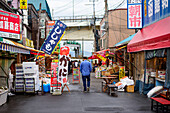Fischmarkt von Hakodate,Hokkaido,Japan,Asien