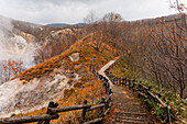 Wanderweg durch den Herbstwald mit dem dampfenden Vulkantal von Noboribetsu auf der linken Seite,Hokkaido,Japan,Asien