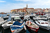 Boote im Hafen mit Blick auf die Altstadt von Rovinj, Kroatien, Europa