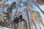 Modernste Unterkunft in einem verschneiten Wald mit hohen, schneebedeckten Bäumen in Schwedisch-Lappland, Baumhotel, Harads, Lappland, Schweden, Skandinavien, Europa