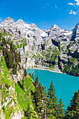 Blick von oben auf das kristallblaue Wasser des Oeschinensees zwischen Tannen und schneebedeckten Alpengipfeln, Oeschinensee, Kandersteg, Kanton Bern, Schweiz, Europa