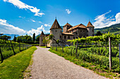 Schloss Mareccio bei Bozen (Bolzano),Bezirk Bozen,Sudtirol (Südtirol),Italien,Europa