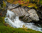 Stromschnellen und Felsen,Herbstfärbung,Norwegen,Skandinavien,Europa