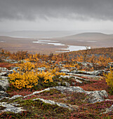 Blick in Richtung Tarvantovaara Wilderness Area mit herbstlich gefärbten Birken, Finnland, Europa