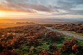 Curbar Edge bei Sonnenaufgang, Peak District National Park, Derbyshire, England, Vereinigtes Königreich, Europa
