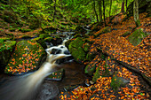 Wasserfall und Pfad,Herbstfarbe,Wyming Brook,Peak District National Park,Derbyshire,England,Vereinigtes Königreich,Europa