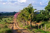 Straße mit roter Erde, Landschaft der Serra da Canastra, Bundesstaat Minas Gerais, Brasilien, Südamerika