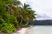 White sandy beaches and coconut trees on Batu Hatrim,Raja Ampat,Indonesia,Southeast Asia,Asia