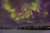 Auroral streamers or rays rather than curtains as part of the pulsating phase of the great equinox display of Northern Lights on March 23,2023. The rays have a strong vertical structure from precipitating electrons but were pulsing off and on rather than rippling. While the predominent colour is green,there is a lot of red and magenta mixed in. The rays appear to be converging up toward the magnetic zenith. This is looking south. Orion is at right.