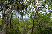 Blick auf den Yaxha-See von der obersten Struktur 117 in den Maya-Ruinen im Yaxha-Nakun-Naranjo-Nationalpark, Guatemala. Dieser hohe, nicht ausgegrabene Hügel ist Teil eines größeren astronomischen Komplexes.