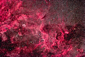 Dies ist das reichhaltige Nebelgebiet im zentralen Cygnus, das links den Halbmondnebel (auch NGC 6888 genannt) und rechts den Tulpennebel (auch Sharpless 2-101 genannt) in der Nähe des Sterns Eta Cygni umfasst.