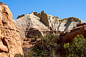 Eroded sandstone fins on the Angel's Palace Trail in Kodachrome Basin State Park in Utah.
