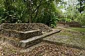 Strukturen in der Westgruppe oder Plaza R, einem Wohnkomplex in den Maya-Ruinen im Yaxha-Nakun-Naranjo-Nationalpark, Guatemala.