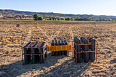A battery of launchers for 4" & 6" pyrotechnic shells being prepared for a fireworks show in a field in Utah.