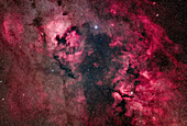 This is a portrait of the complex of nebulosity in northern Cygnus,with many wreaths and arcs of hydrogen gas interspersed with patches and tendrils of dark dust of varying densities. The main nebula is the North America (NGC 7000) at upper left,with the smaller Pelican Nebula (IC 5067) beside it in the "Atlantic Ocean." At bottom right is the Gamma Cygni complex,aka the Butterfly Nebula or IC 1318,while at the bottom right edge is the small arc of the Crescent Nebula (NGC 6888). The field is filled with other fainter nebulas catalogued in the Sharpless and DWB catalogues. Above Gamma Cygni ri