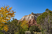 Erodierte Sandsteinformationen und Pinyon-Wacholderwald im Kodachrome Basin State Park in Utah.