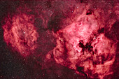This is a framing of an array of emission nebulas in Cygnus: the bright North America Nebula (NGC 7000) at right,and to the right of it,the Pelican Nebula (IC 5067/8). Those bright nebulas are set amid a complex of fainter nebulosity,notably the Clamshell Nebula at left,as it has become known recently,and catalogued as Sharpless 2-119. At bottom right is the curving Cygnus Arc,aka IC 5068. The small star cluster NGC 7044,yellowed by interstellar dust,is below the Clamshell. The nebulas are marked by lots of structure and radial streaks,perhaps from magnetic fields.