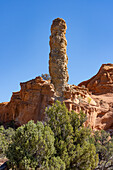 Ein Sandrohr oder Kaminfelsen, ein erodierter Felsturm im Kodachrome Basin State Park in Utah.