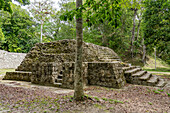 Struktur 395 von Ballcourt 1 in der Südakropolis der Maya-Ruinen im Yaxha-Nakun-Naranjo-Nationalpark, Guatemala.