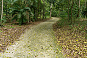 Calzada Blom oder der Blom Causeway, ein Heiligtum in den Maya-Ruinen im Yaxha-Nakun-Naranjo-Nationalpark, Guatemala. Auch bekannt als Water Causeway oder Calzada de las Aguas.