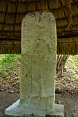 Stele 13 auf der Plaza A der Maya-Ruinen im Yaxha-Nakun-Naranjo-Nationalpark, Guatemala.