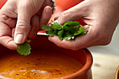 Pumpkin soup with parsley