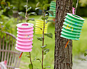 2 lanterns on the tree