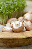 Champignons in Holzschale