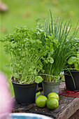 Parsley, chives with limes