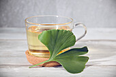 Ginkgo biloba