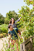 Picking apples