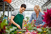 Garden centre sales assistant and customer