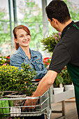 Garden centre sales assistant