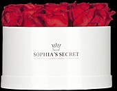 Sophia's Secret® - Rose Box - Hat Box
