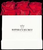 Sophia’s Secret® - Rosenbox