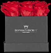 Sophia’s Secret® - Rosenbox