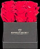 Sophias Secret® - Rose box