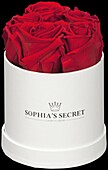 Sophias Secret® - Rose Box - Hat Box