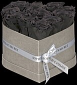 Sophias Secret® - Rose box - Heart box