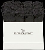 Sophia’s Secret® - Rosenbox