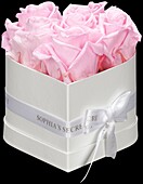 Sophias Secret® - Rose box - heart box