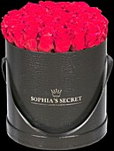 Sophia’s Secret® - Rosenbox - Hutschachtel