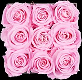 Sophias Secret® - Rose box