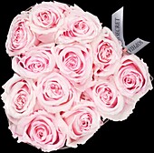 Sophias Secret® - Rose box - Heart box